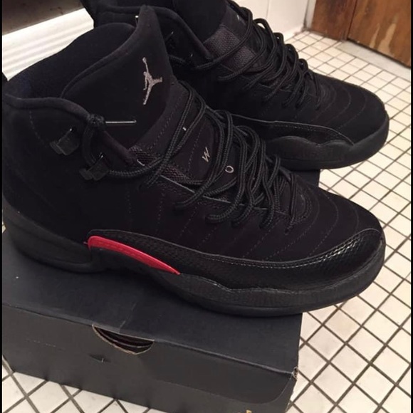 Air Jordan 12s - Picture 2 of 4